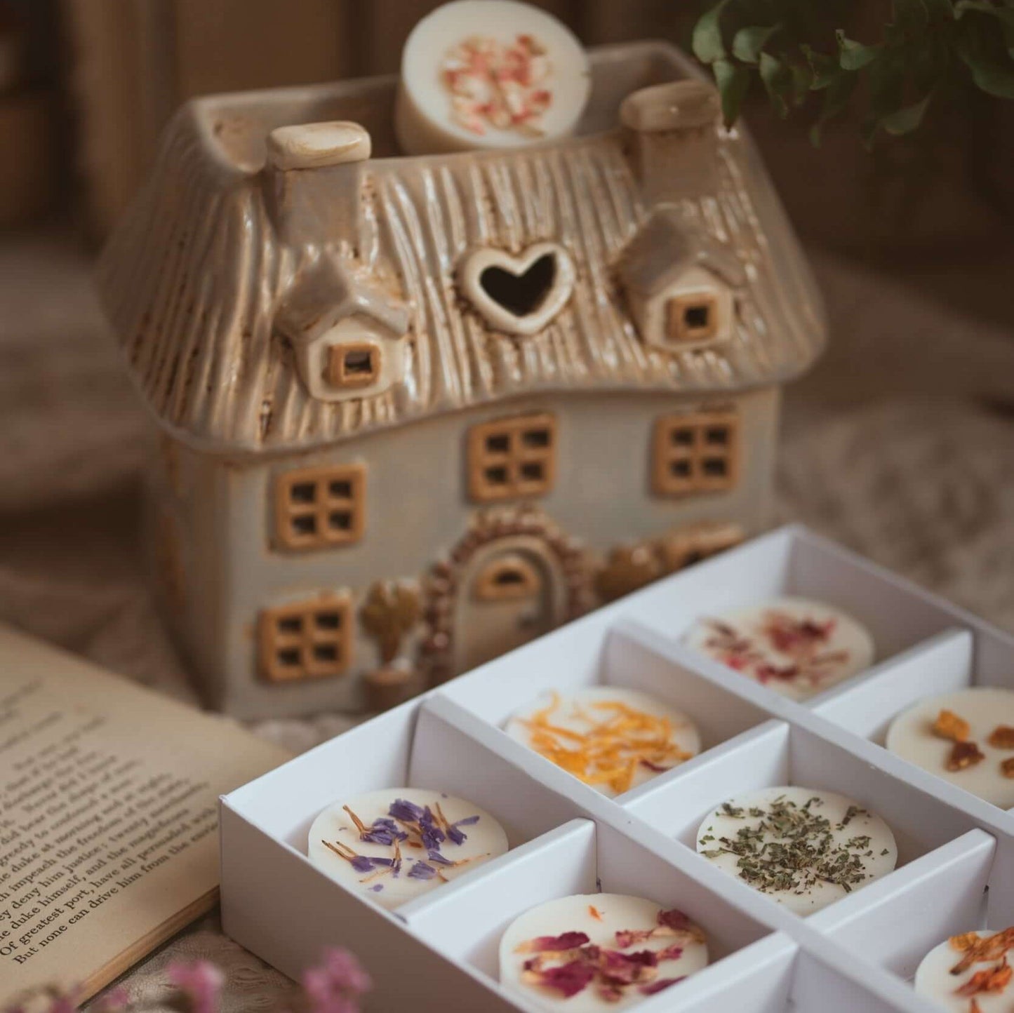 Scent Discovery Set - box of 9 soy wax melts infused with botanicals