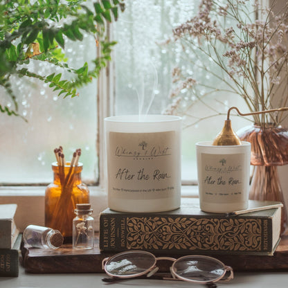 After the Rain Soy Candle. Available in 2 sizes