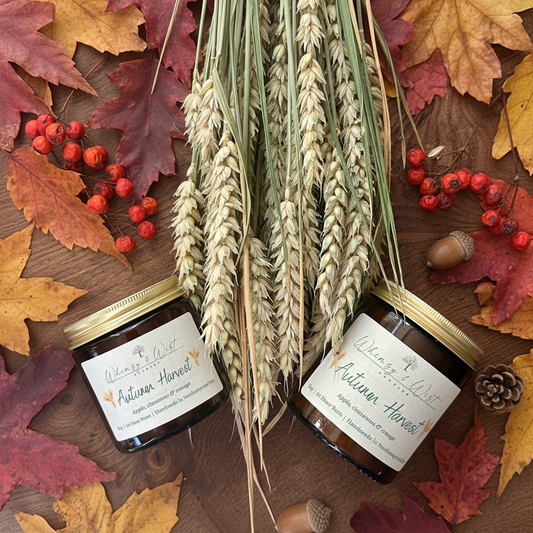 Two jars of 'Autumn Harvest' candle on a wooden surface with wheat stalks and fall leaves.