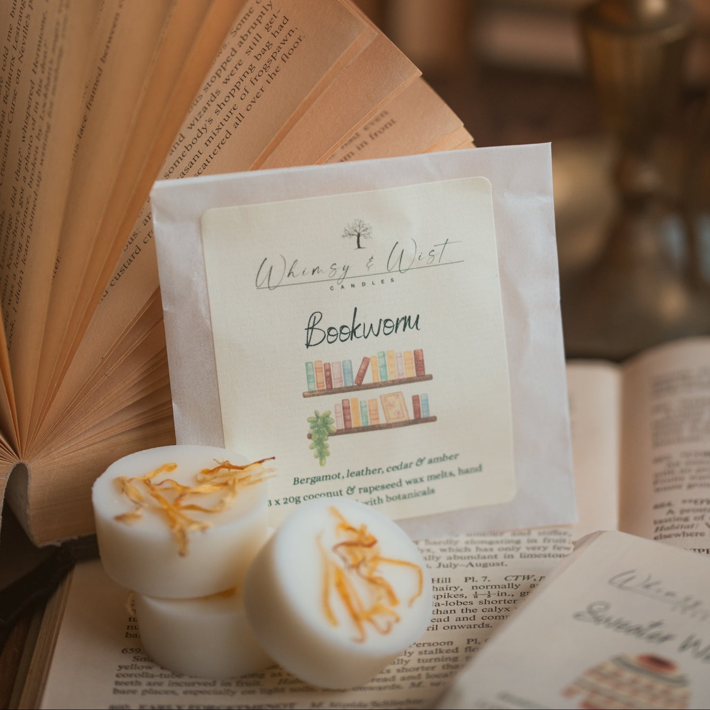 Bookworm wax melts, lying on some books