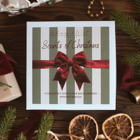 Whimsy & Wist 'Scents of Christmas' wax melt gift box in green and cream stripes with a red velvet bow, among dried orange slices and pine
