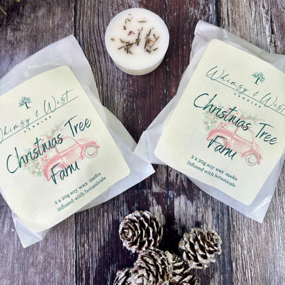 A pack of 3 wax melts in the scent Christmas Tree Farm