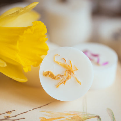 Close up of daffodil wax melt - from Spring Edit