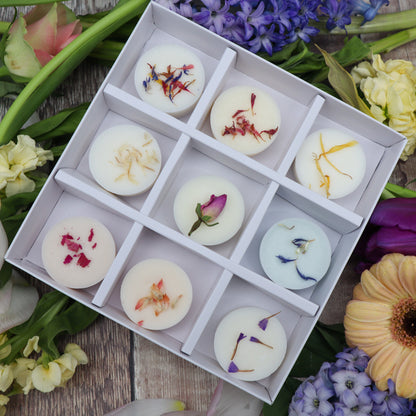 Scent Discovery Box - Spring Edition