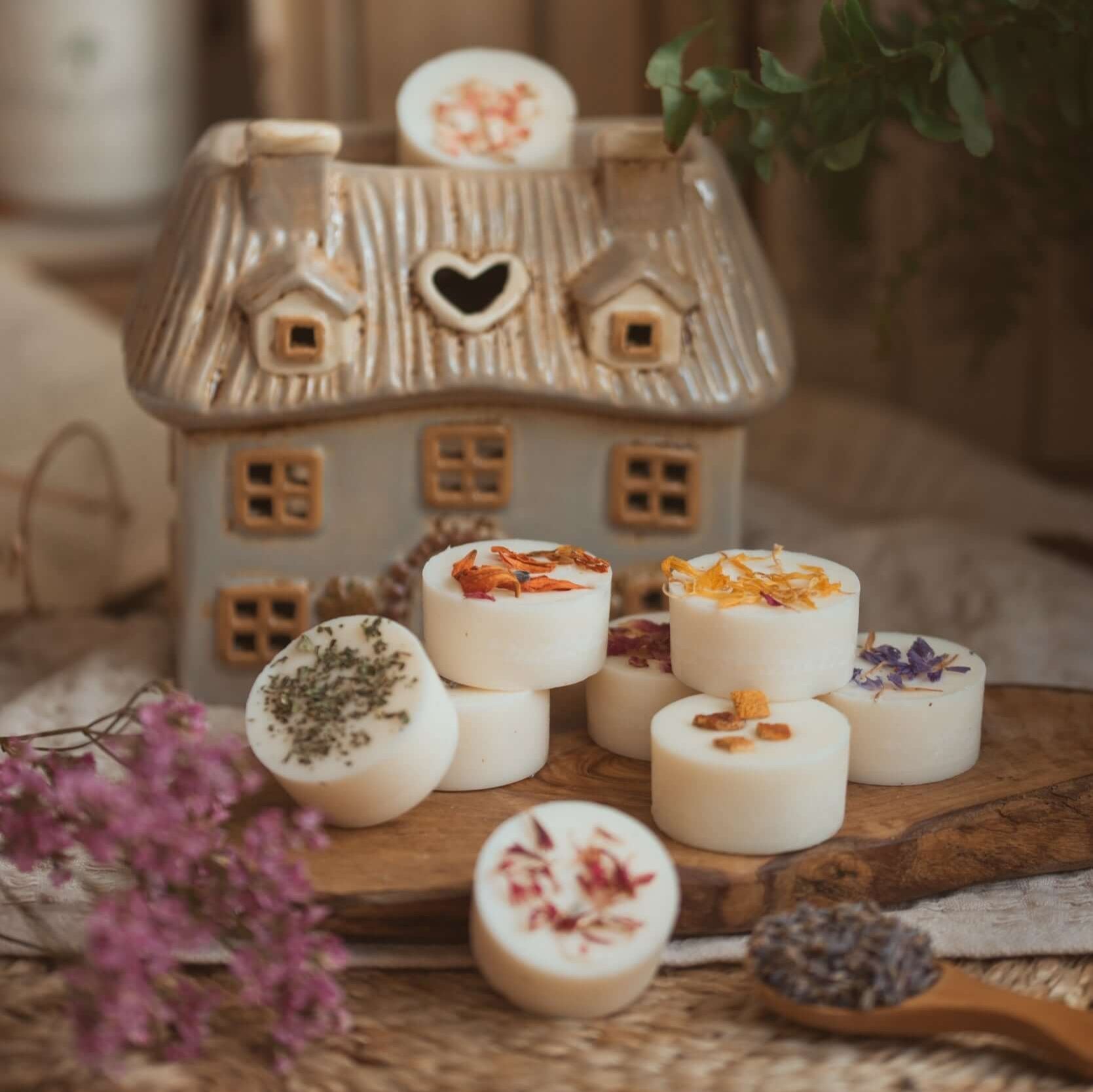 Scent Discovery Set - box of 9 soy wax melts infused with botanicals
