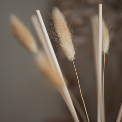 Natural Reed Diffuser