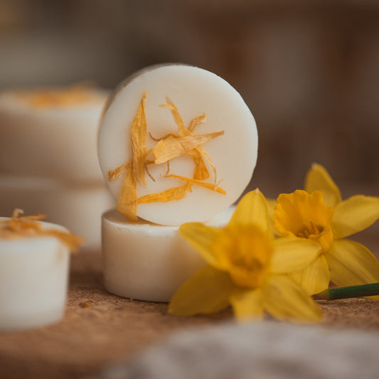 Wild Daffodil scented wax melts. Pack of 3 infused with marigold petals.